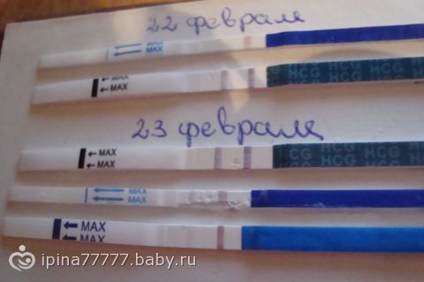 Беременность 5 недель мажет кровь Беременность 5 недель мажет кровь