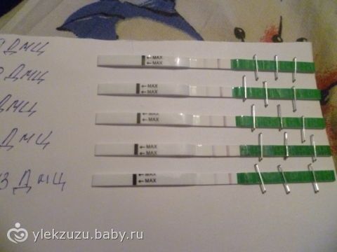 Медицинский центр Парацельс в Истре Многопрофильный Как определить бесплодие у мужчин в домашних условиях, если