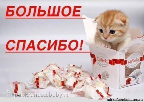 Ваши поздравления и за теплые Ваши поздравления и за теплые