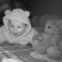 Фотографии малышей на 4-м месяце развития