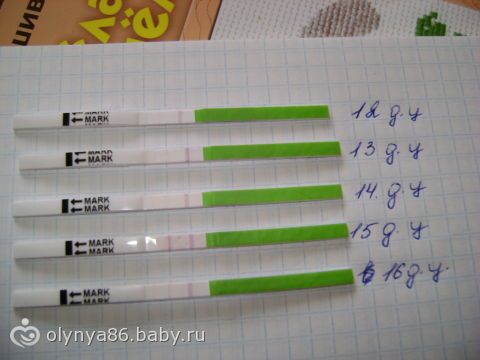 4 дня до месячных тянет живот и болит поясница 4 дня до месячных тянет живот и болит поясница