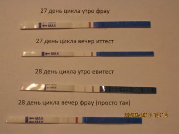 Какие есть хорошие тесты на беременность Какие есть хорошие тесты на беременность