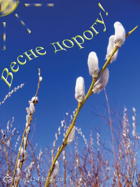 http://static1.babysfera.ru/f/b/f/a/45605854.55739714.jpeg
