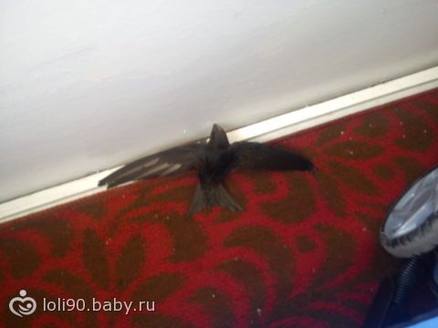 боюсь теперь(((