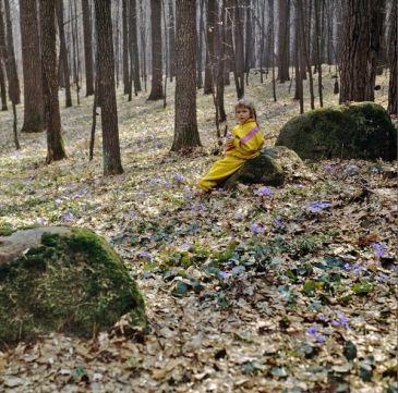 В Новосибирске 5-летняя девочка потерялась в лесу