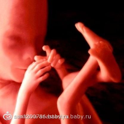 Жизнь в утробе — 17 недель беременности