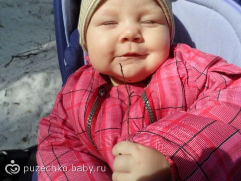 Вот так мы сегодня погуляли (фото)