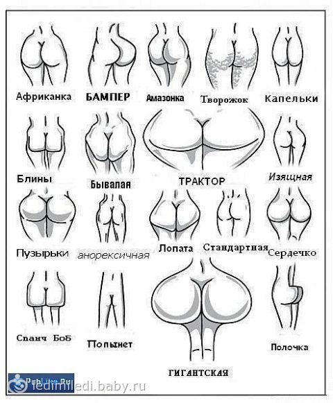 Черные половые губки