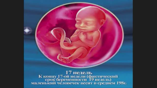 Смотреть календарь беременности - Всё о материнстве здесь