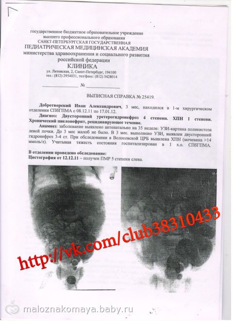 СБОР ЗАКРЫТ! ПОЧКУ НЕ УДАЛОСЬ СПАСТИ!