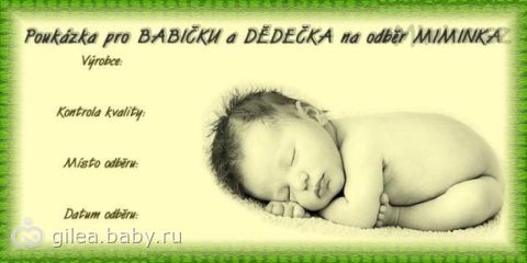 По-моему, классная идея как сообщить родителям о внуке! :)