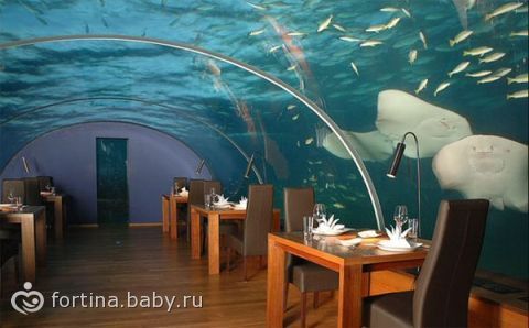 Мальдивы. Мини-путеводитель